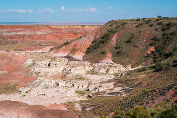 Painted Desert, Petrified Forest National Park