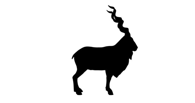 Markhor silhouette. Turntable animation. 3d rendering.