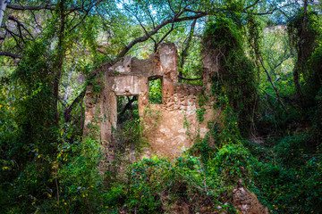 Casa en ruinas en el bosque