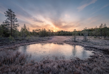 Calmness and cold autumn morning with frozen pond and sunrise in wetland Finland - obrazy, fototapety, plakaty