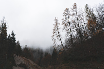 Foggy mountains