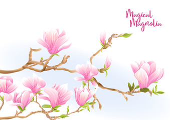 Fototapeta premium Magnolia tree branch with flowers. Template for wedding invitation, greeting card, banner, gift voucher, label. Colored vector illustration. Isolated on white background..