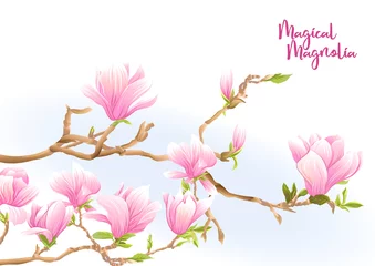 Fototapete Magnolie Magnolienbaumzweig mit Blumen. Vorlage für Hochzeitseinladung, Grußkarte, Banner, Geschenkgutschein, Etikett. Farbige Vektorillustration. Isoliert auf weißem Hintergrund..