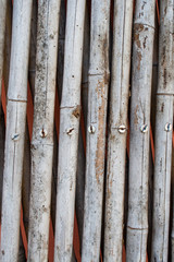 bamboo fence texture on pink background image