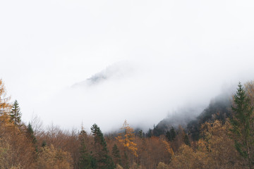 Foggy mountains