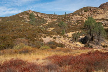 Grasslands at Pinnacles National Park