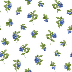 Blueberry. Seamless pattern, background. Graphic drawing engraving style vector illustration