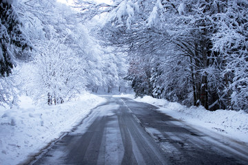 Empty road with snow banks on sides.