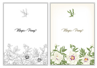 White Peony. Coloring page for the adult coloring book. with colored sample. Colored and outline design. Vector illustration. Isolated on white background