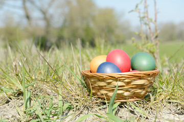 colorful easter eggs in the basket on meadow