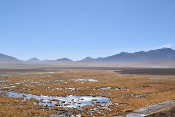Wetlands Atacama