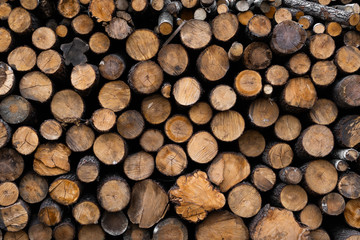 Firewood stacked and prepared for winter Pile of wood logs. Pile of wood logs ready for winter. Wood texture background have many logs that cut from big trees and small trees.