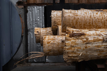 A pile of logs lie on a forest platform, a sawmill. Processing of timber at the sawmill.