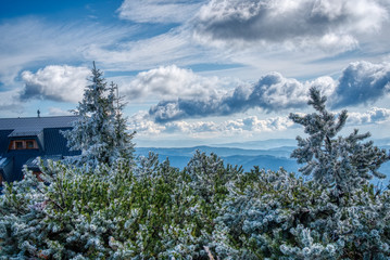 Frozen spruces on mountains with beautiful clouds in autumn, Czech, Lysa Hora