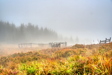 Fototapeta na wymiar fog on meadow on mountain with zabranamy on snow in autumn , Czech , Lysa hora
