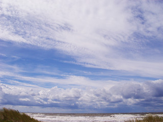 Obraz premium Sea shore