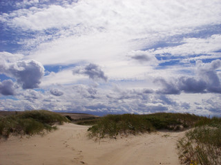 Dunes on the seashore