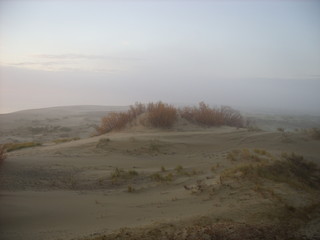 Dune Efa
