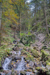 beautiful gorge from dyed to autumn colors , janosikove diery , slovensko mala fatra