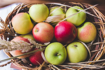 apples in a wicker basket among the ears of wheat. view from above