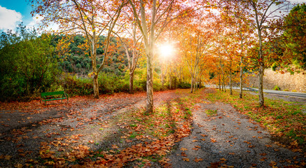 Oto&ntilde;o en Despe&ntilde;aperros
