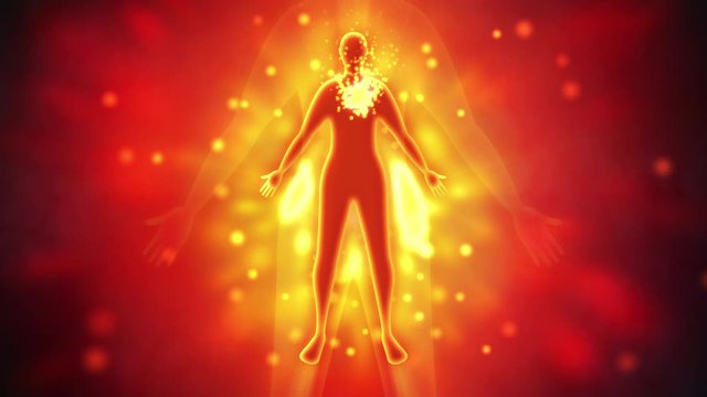 心臓を中心として炎症する人物シルエット　ループ