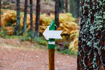 Recreation area between the provinces of Segovia and Madrid known as Boca del Asno