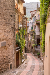 Fototapeta na wymiar Vista del Borgo medievale Dolceacqua, Liguria, Italia