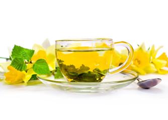 Glass cup of hot green tea with daffodil flowers isolated on a white background.