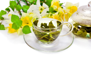 Green tea with leaves in a glass cup, glass teapot, daffodil flowers and birch tree branches isolated on a white background.