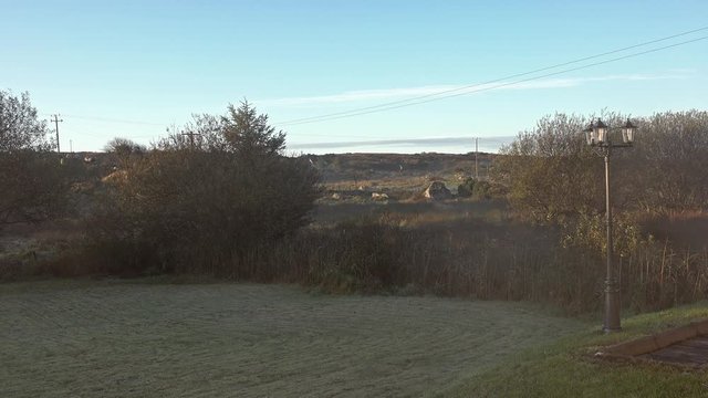 A foggy morning with lawn, moor and lamp post