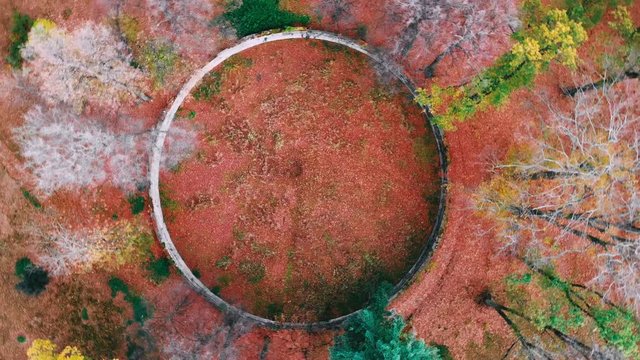 Sky view of autumn road car. Aerial view country road in autumn forest. Forest road drone view.