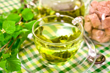 Green tea in a glass cup, glass teapot, vase of brown sugar with fresh natural birch branches on textile background.