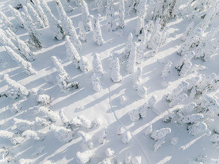 Aerial view of Snow Covered Winter forest landscape in Finland