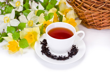 Black tea in a ceramic cup with daffodil flowers and green tree branches, wicker basket on a white background. Spring still life.