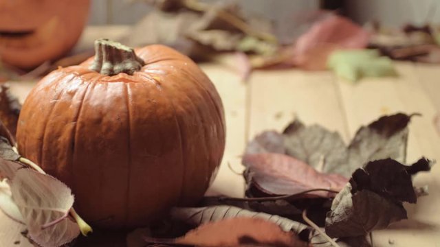 Ripe pumpkin and colorful Autumn leaves moving as breeze blows in