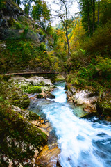 Fototapeta na wymiar Vintgar Gorge near Bled, Slovenia