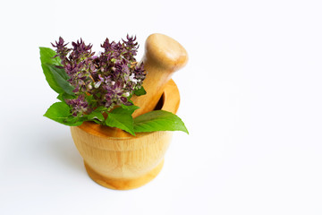 Sweet Basil leaves with flower in wooden mortar on white