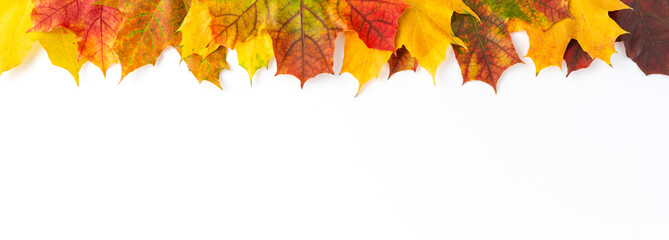 Frame made of colourful autumn leaves isolated on white table. Fall concept. Flat lay. Banner