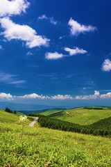 Fototapeta na wymiar 長野県・夏の車山高原の風景 3