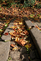 Des feuilles dans l'escalier en vieux pavé