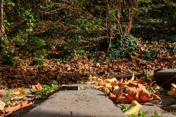 Des feuilles dans l'escalier
