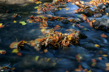 La rivière en automne