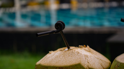 We are sitting with coconuts near the pool.	