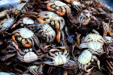 Pickled crab placed on the stall for sale