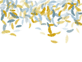 Falling feather elements soft vector design.