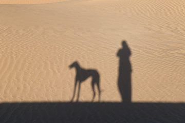 Shadow of a person with a Sloughi dog (Arabian greyhound) against sand dunes in the Sahara desert of Morocco.