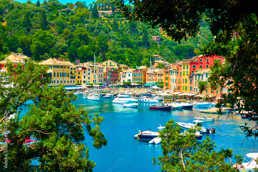 Poster portofino town and harbour with boats