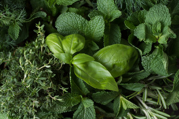 Fresh herbs. - 301143475