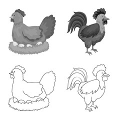 Vector design of breeding and kitchen sign. Collection of breeding and organic vector icon for stock.
